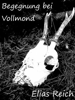 Begegnung bei Vollmond (eBook, ePUB) - Reich, Elias