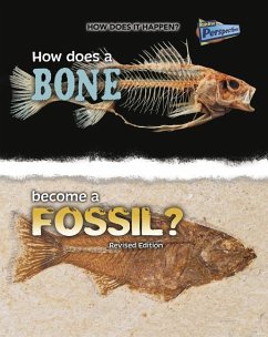 How Does a Bone Become a Fossil? - Stewart, Melissa