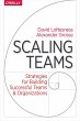 Scaling Teams - Bild 1