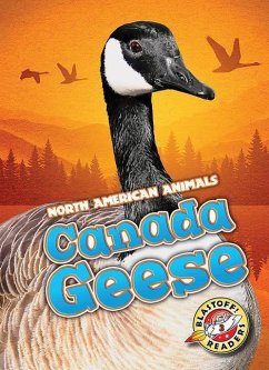 Canada Geese - Borgert-Spaniol, Megan