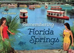 Remembering Florida Springs - Hollis, Tim