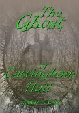 The Ghost of Cattingham Hall