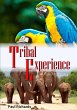 Tribal Experience - Bild 1