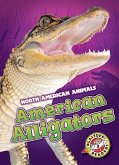 American Alligators