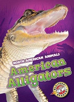 American Alligators - Borgert-Spaniol, Megan