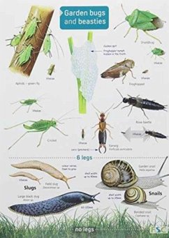 Cover Garden Bugs and Beasties