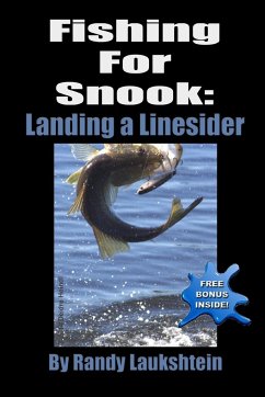 Fishing For Snook - Laukshtein, Randy