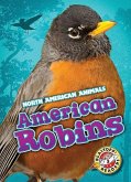 American Robins