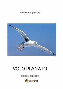Volo planato. Raccolta di poesie (eBook, PDF) - Frangiamore, Michele