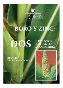 Cover Boro y Zinc: Dos elementos limitantes en Colombia (eBook, PDF)