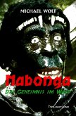 Nabonga (eBook, ePUB)