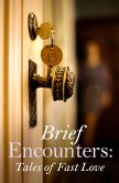 Brief Encounters (eBook, ePUB)
