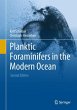 Planktic Foraminifers in the Modern... - Bild 1