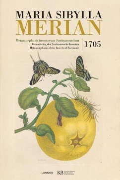 Metamorphosis Insectorum Surinamensium - Merian, Maria Sibylla