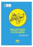 Algunas enfermedades de bovinos y equinos en la Costa Atlántica (eBook, PDF)