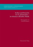 Serben und Deutsche im 20. Jahrhundert - im Schatten offizieller Politik (eBook, PDF)