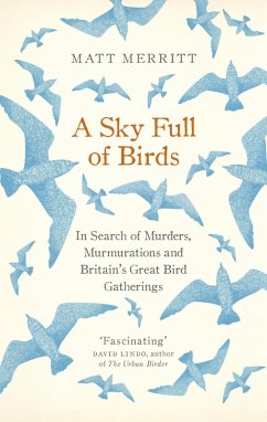 A Sky Full of Birds (eBook, ePUB) - Merritt, Matt