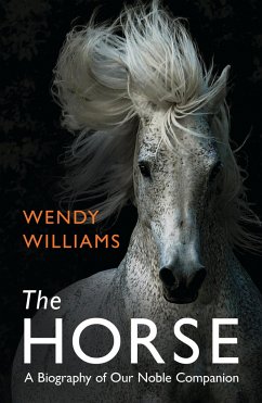 The Horse - Williams, Wendy