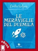 Le meraviglie del Duemila (eBook, ePUB)