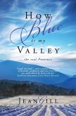 How Blue is My Valley