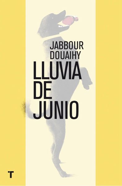 Lluvia de junio (eBook, ePUB)