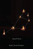 Small Fires: Volume 36