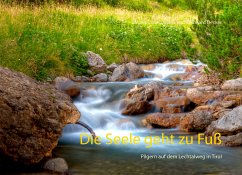 Die Seele geht zu Fuß (eBook, ePUB)