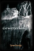 Gewitterkind (eBook, ePUB)