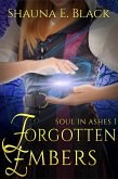 Forgotten Embers (Soul in Ashes, #1) (eBook, ePUB)