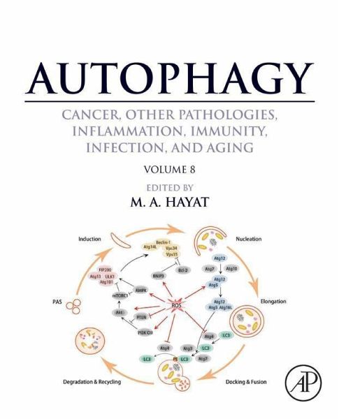 Autophagy: Cancer, Other Pathologies, Inflammation, Immunity, Infection, and Aging (eBook, ePUB)