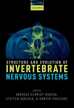 Structure and Evolution of Invertebrate Nervous Systems (eBook, ePUB) - Schmidt-Rhaesa, Andreas; Harzsch, Steffen; Purschke, Günter