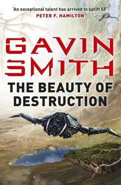 Cover The Beauty of Destruction (eBook, ePUB)