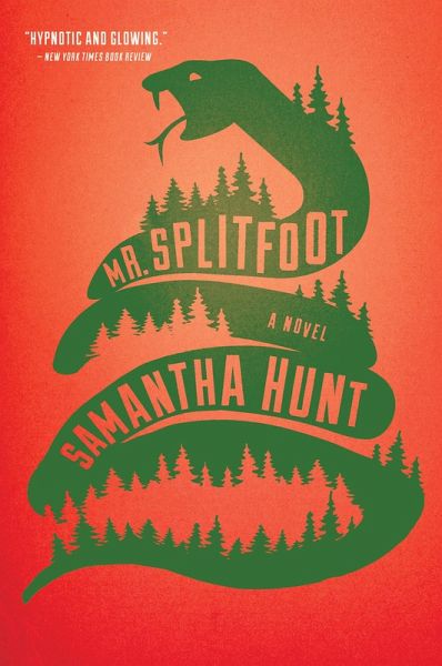 Mr. Splitfoot (eBook, ePUB)