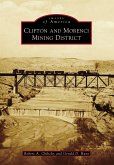 Clifton and Morenci Mining District (eBook, ePUB)