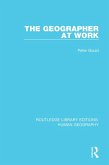 The Geographer at Work (eBook, PDF)