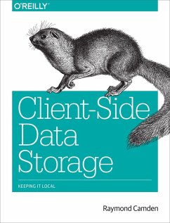 Cover Client-Side Data Storage (eBook, ePUB)