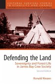 Defending the Land (eBook, PDF)
