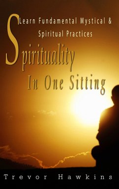 Spirituality In One Sitting (eBook, ePUB) - Hawkins, Trevor