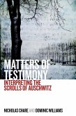 Matters of Testimony (eBook, ePUB)