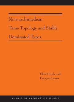 Non-Archimedean Tame Topology and Stably Dominated Types (AM-192) (eBook, ePUB) - Hrushovski, Ehud