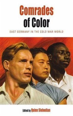 Comrades of Color (eBook, PDF)