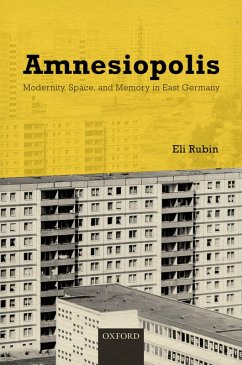 Amnesiopolis (eBook, PDF) Cover Amnesiopolis (eBook, PDF)