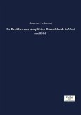 Die Reptilien und Amphibien Deutschlands in Wort und Bild Die Reptilien und Amphibien Deutschlands in Wort und Bild