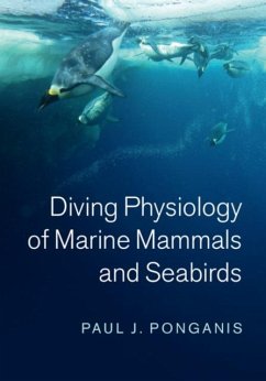Diving Physiology of Marine Mammals and Seabirds (eBook, PDF) - Ponganis, Paul J.