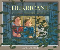 Hurricane (Read-aloud) (eBook, ePUB) - Wiesner, David