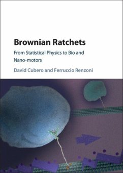 Brownian Ratchets (eBook, PDF) - Cubero, David