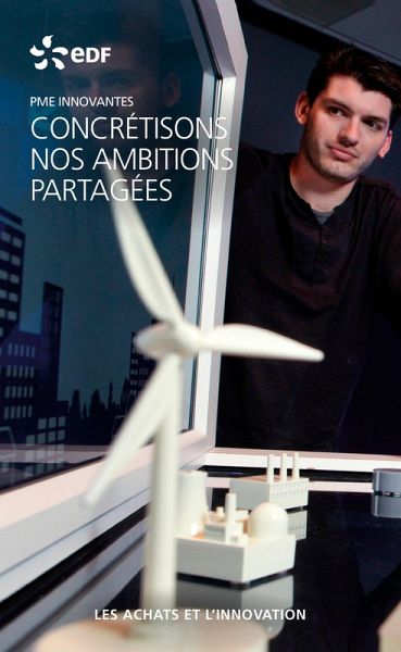 EDF PME innovantes - Les achats et l'innovation (eBook, ePUB) EDF PME innovantes - Les achats et l'innovation (eBook, ePUB)