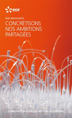 EDF PME innovantes - L'innovation pour les métiers du groupe (fixed-layout eBook, ePUB) - EDF