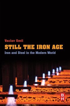 Cover Still the Iron Age (eBook, ePUB)