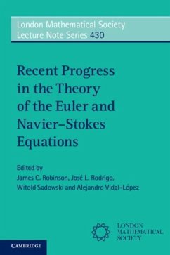 Cover Recent Progress in the Theory of the Euler and Navier-Stokes Equations (eBook, PDF)